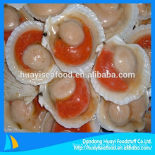 super frozen scallop meat skirt-on